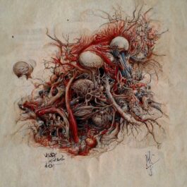 Anatomical Study of the Viscera