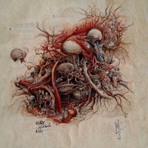 Anatomical Study of the Viscera